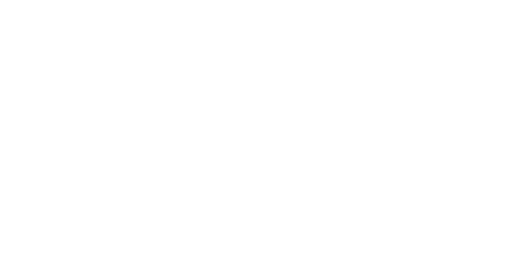 ConfidentialMind